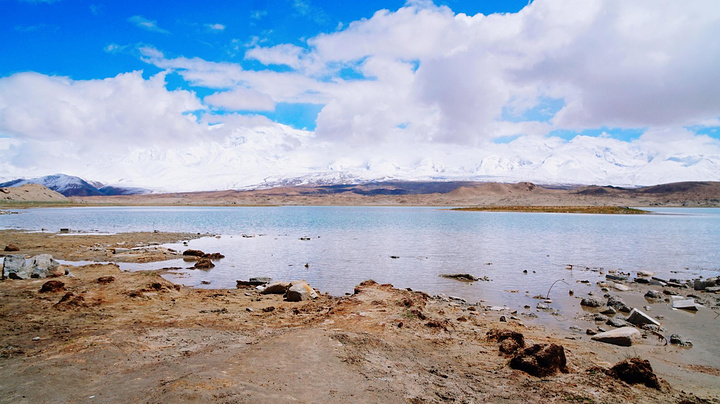 "这个高原湖泊周边的生态环境很好，水清草丰，马匹和骆驼悠闲慢步，时而低头吃草，一派大好的草原风光..._喀拉库勒湖"的评论图片