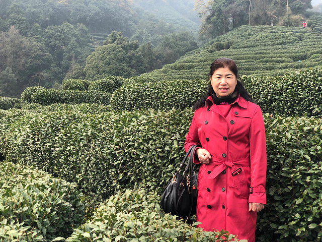 "我是跟妈妈来的，她非常喜欢这里层层叠叠的茶山景色，可能也是我们是北方的人，很少见到这样的景色_龙井村"的评论图片
