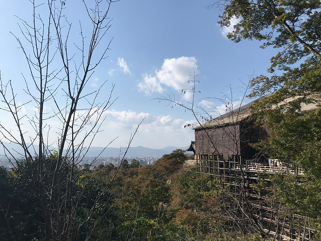 "清水寺的门票也很好看啊。俯瞰下面的景色。清水寺是日本最有名的寺庙之一，也是世界文化遗产。大门_清水寺"的评论图片