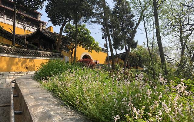 扬州大运河文化旅游度假区·观音山