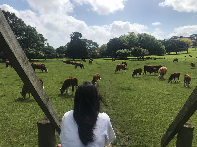 新西兰人口数量非常少,没有国内公园的诸多限