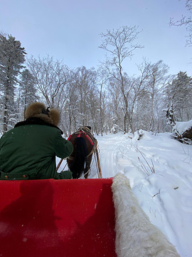 长白山仙峰雪岭景区旅游景点攻略图