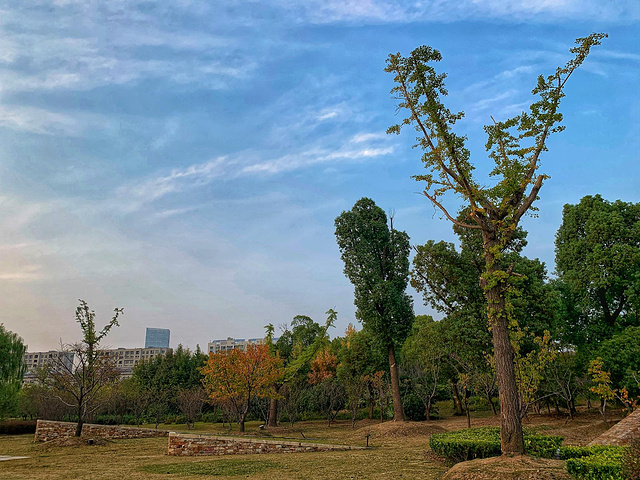 "半湖碧玉-石湖风景区_石湖景区"的评论图片