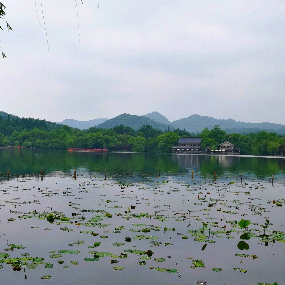 西湖娱乐城- 西湖娱乐城官方网站- 西湖娱乐城APP兰州西站到小西湖坐几路公交车
