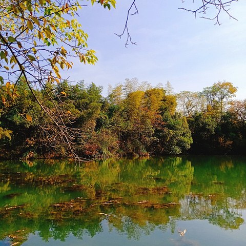 "服饰:必须穿运动鞋，能穿连衣裙，就穿连衣裙，里面的景色很漂亮，树木比较多，适合森女系风格拍照_西溪国家湿地公园"的评论图片