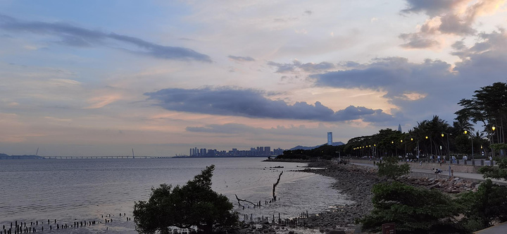 "...能看到海的地方，感受还是不错的，但其实不太算是宽阔的海面，这里属于海湾，对面是可以看到香港的哦_深圳湾公园"的评论图片