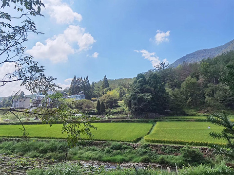 国清景区旅游景点攻略图
