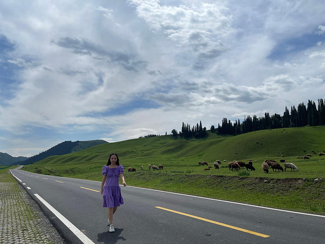 "新疆最美的风景应该就是雪山草地白云蓝天。新疆随便圈起来一个地方都可以做景点，遍地是风景，风景都在路上_那拉提草原"的评论图片