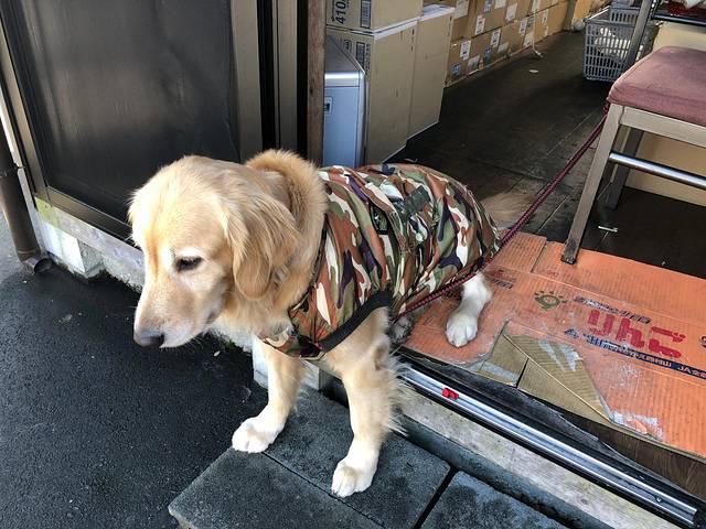 御殿场奥特莱斯