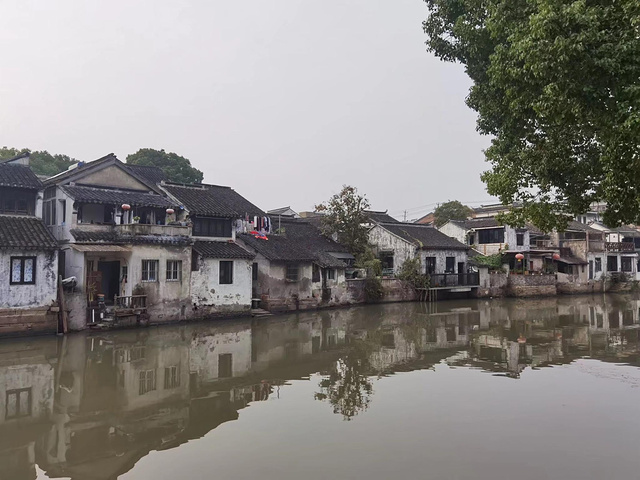 "是拍摄对面白墙黛瓦民居和秦峰塔的最佳角度，站在古石桥上，是遥看“小桥、流水、人家”江南风貌的最佳方位_千灯古镇"的评论图片