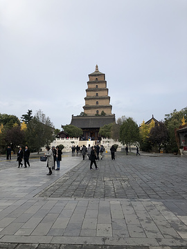 大慈恩寺的图片