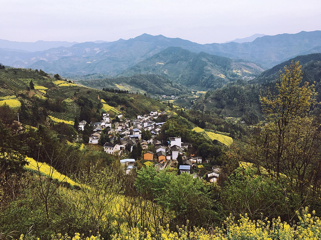 "石潭村是摄影爱好者的天堂，强烈推荐哟！拉客人上山上赏全景的，好像是80还是100一个人_石潭村"的评论图片