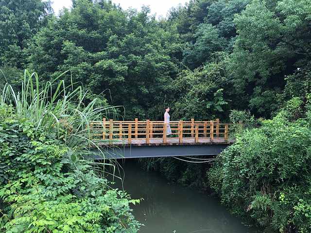 21建筑大师王澍设计 风景一流 不输厦大武大 非常值得一去 有很多适合拍照的地方 无论是风景还是人像 中国美术学院象山校区 评论 去哪儿攻略