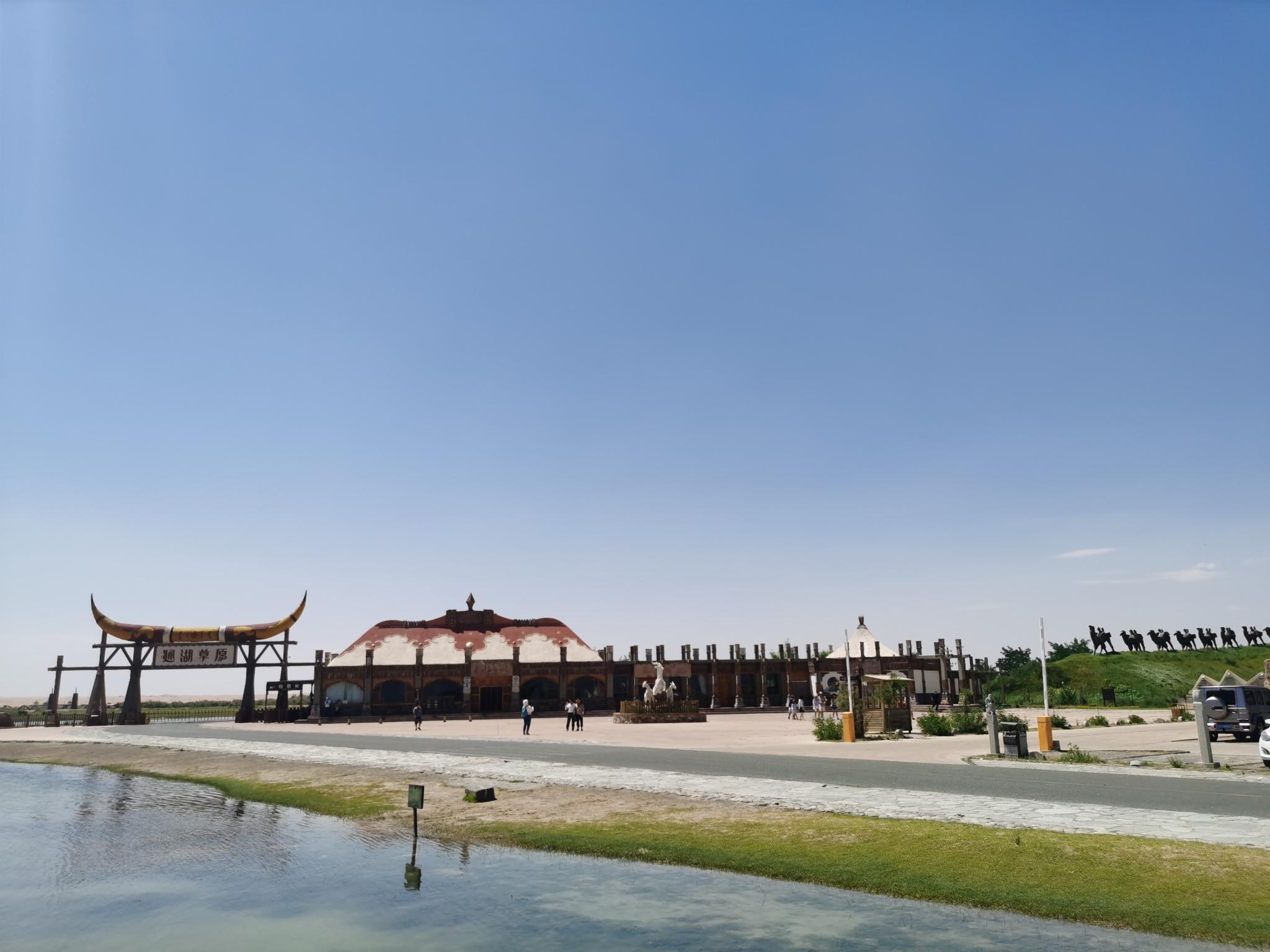 这的草原不是很大片的那种但也能看见牛羊结队悠闲吃草的景色