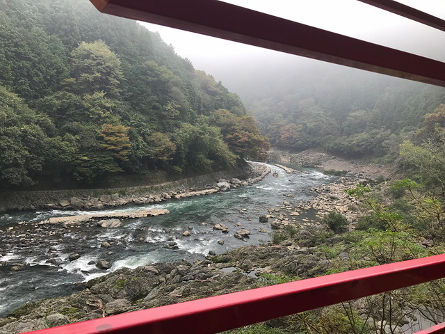 "岚山的范围其实很大，路牌上面的天龙寺和常寂光寺，景色都非常美，然而我们跟团的行程里不去。景区介绍_岚山嵯峨野观光小火车"的评论图片