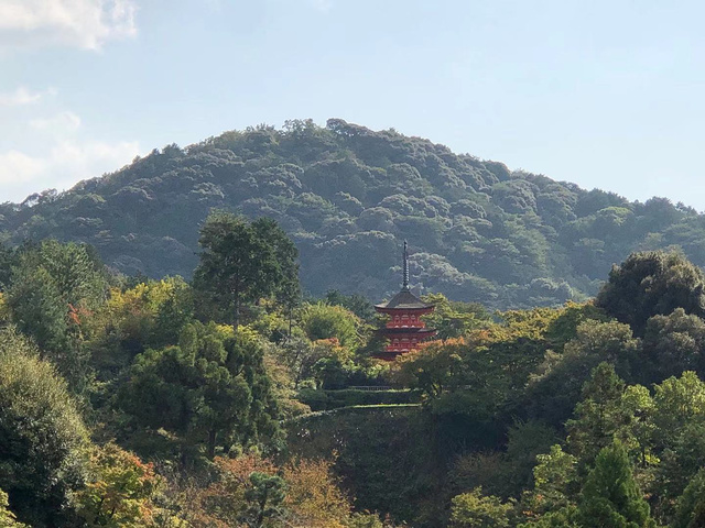 "清水寺的门票也很好看啊。俯瞰下面的景色。清水寺是日本最有名的寺庙之一，也是世界文化遗产。大门_清水寺"的评论图片