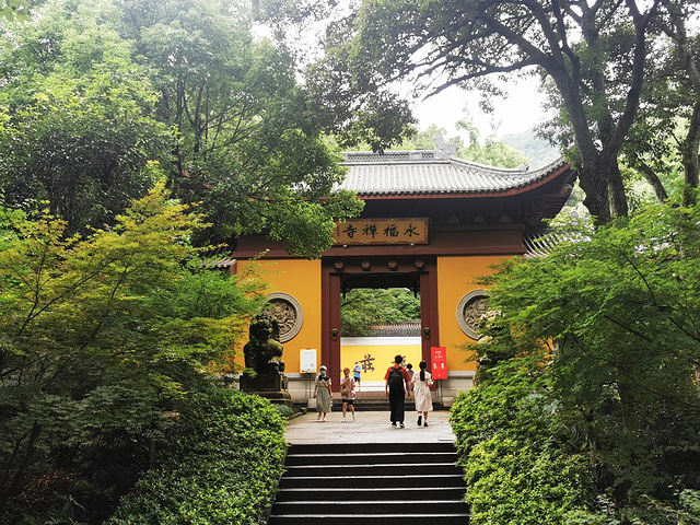 "如果只是让我拥有杭州半天的时间，我一定会来灵隐寺。偶遇永福禅寺的猫咪师兄，很淡定，但是不让撸_灵隐寺"的评论图片