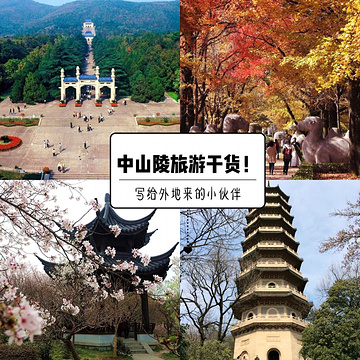 中山陵景区旅游景点攻略图