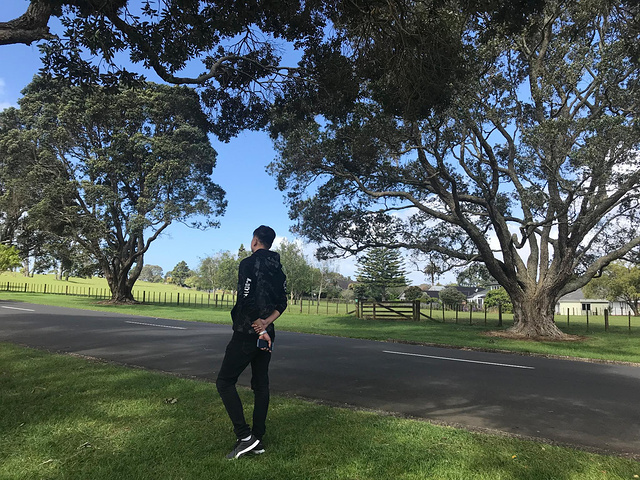 新西兰人口数量非常少,没有国内公园的诸多限