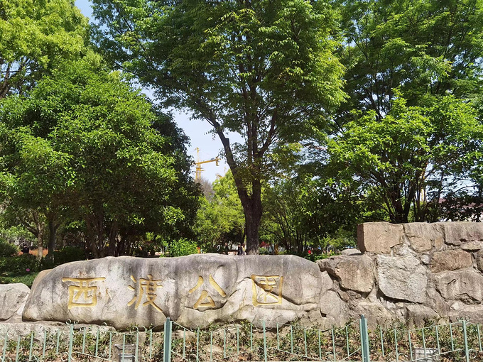 西渡公园图片