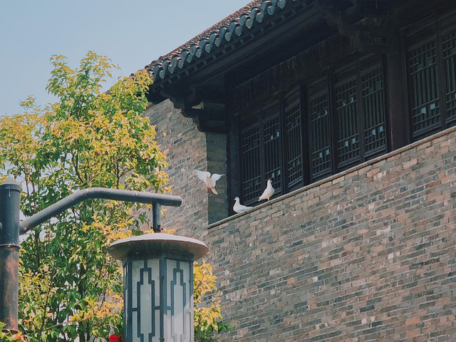 "水乡古镇，传统建筑风格_潘安水镇"的评论图片