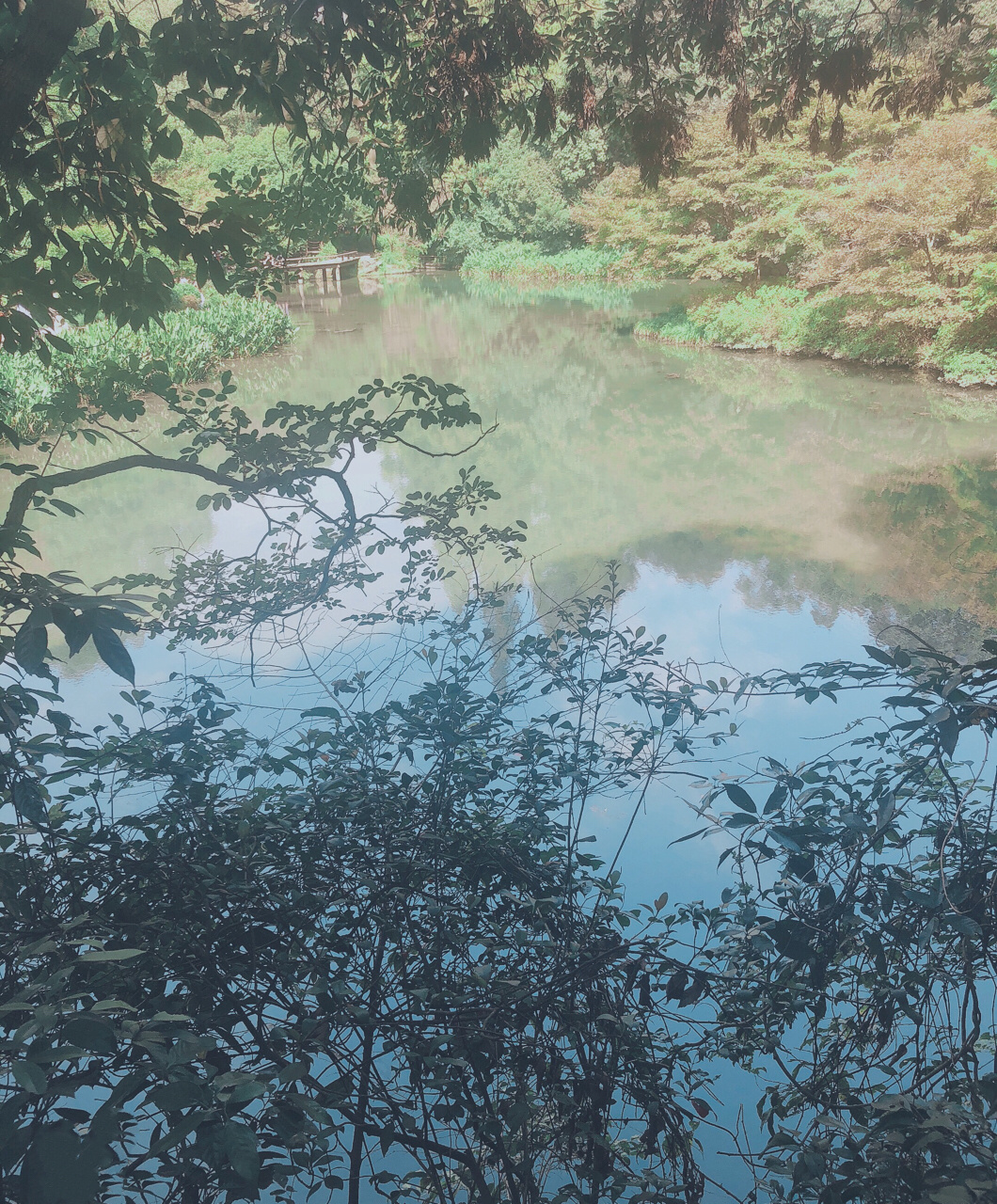 【携程攻略】杭州九溪烟树景点,遇见最美的杭州，不是在西湖，而是在九溪十八涧。那天决定去龙井村玩…