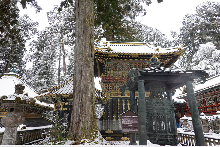 "震撼归震撼，我为数不多的国内的寺庙观光经历觉得，中国的可能更超绝。下雪增加了几分美感。一点都不腻的_日光东照宫"的评论图片