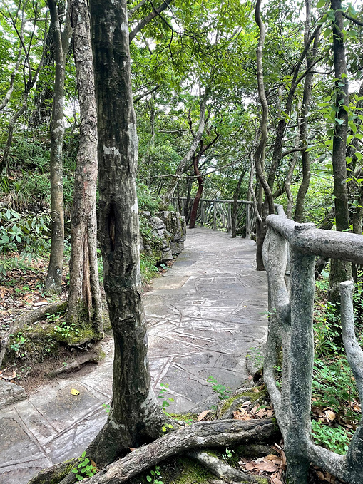 微漾小筑主题客栈(张家界天门山索道站店)图片