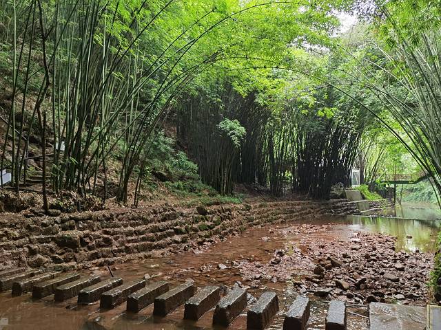 川西竹海景区