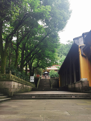 "如果只是让我拥有杭州半天的时间，我一定会来灵隐寺。偶遇永福禅寺的猫咪师兄，很淡定，但是不让撸_灵隐寺"的评论图片