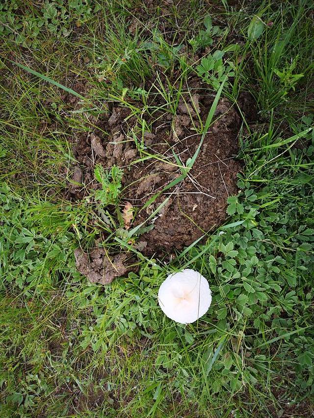 阿斯哈图石林景区