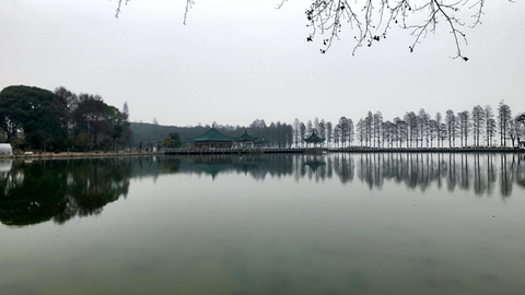 东湖生态园
