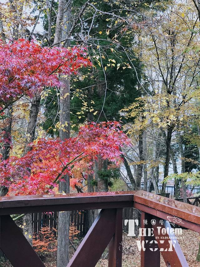 富士山花园酒店·餐厅