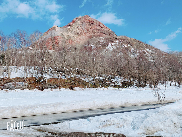 "这家昭和新山熊牧场，在昭和新山（活火山）脚下，门票的价格忘了，熊饼干100日元一包，如果不在门..._昭和新山熊牧场"的评论图片