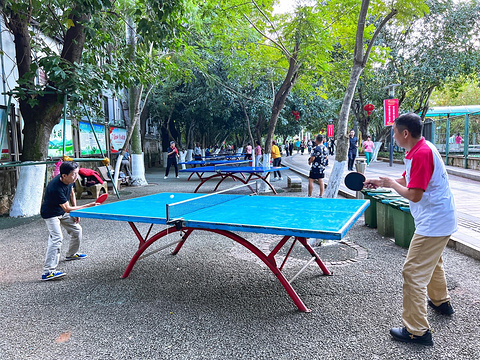 海口人民公园旅游景点图片