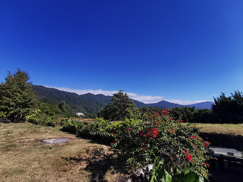 顶村村旅游景点图片