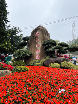 厦门市革命烈士纪念碑及烈士陵园的图片