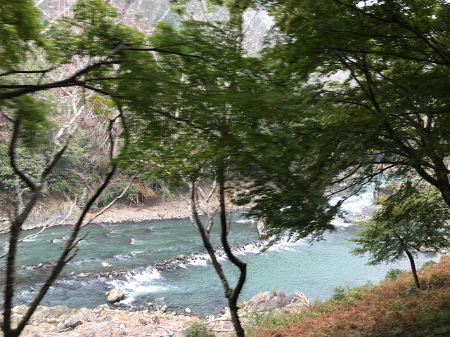 "岚山的范围其实很大，路牌上面的天龙寺和常寂光寺，景色都非常美，然而我们跟团的行程里不去。景区介绍_岚山嵯峨野观光小火车"的评论图片