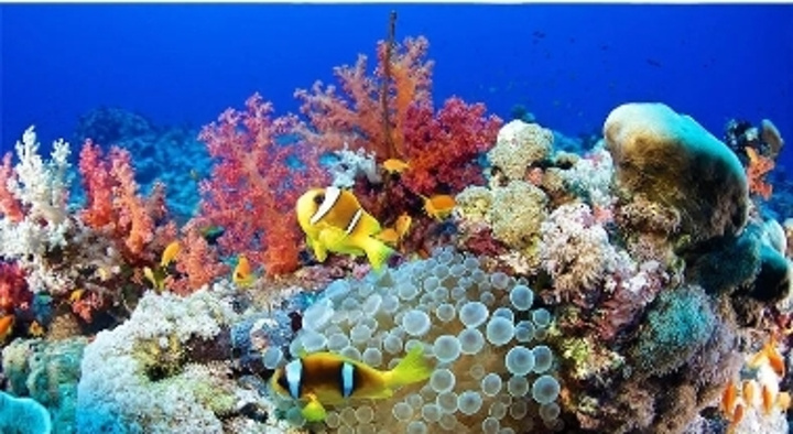 亚龙湾海底世界位于中国海南省三亚亚龙湾国家旅游度假区内,不仅拥有