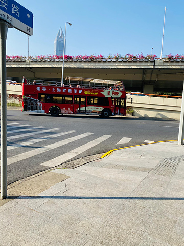 "从城隍庙出发坐观光巴士去的东方明珠，一路也能看到不少风景，双层巴士二层第一排对孩子来说是个不错的体验_东方明珠"的评论图片