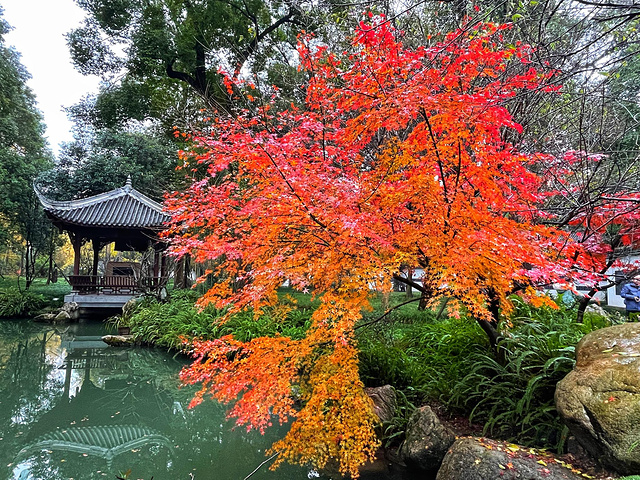 "杜甫草堂是一座非常独特的混合式中国古典园林。成都杜甫草堂，诗圣故居早已变样，但这里依旧是中国文学圣地_杜甫草堂"的评论图片