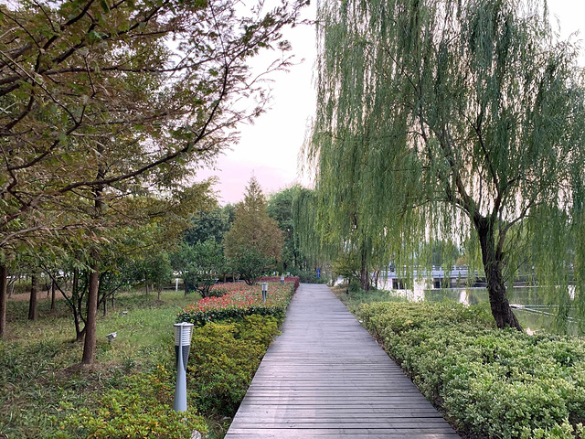 "半湖碧玉-石湖风景区_石湖景区"的评论图片