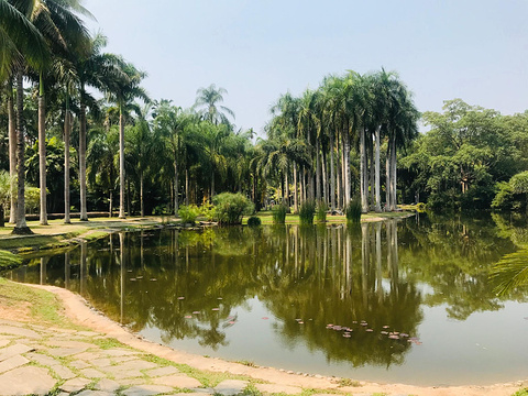 中科院西双版纳热带植物园旅游景点攻略图