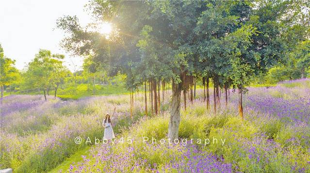 厦门园林博览苑