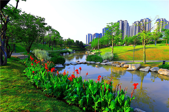 晋安湖公园旅游景点图片