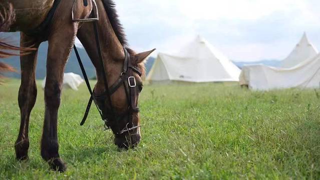 翔鹏农业生态园