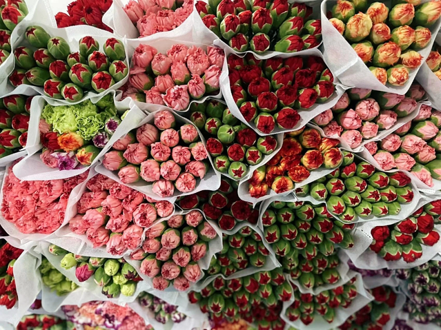 昆明斗南花卉市场