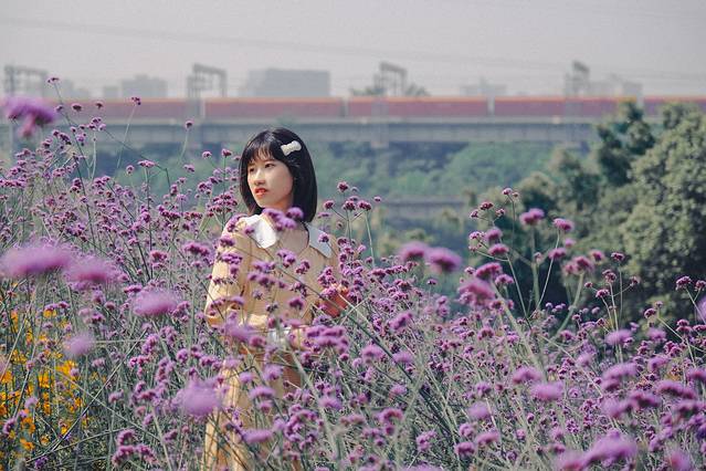 九曲河湿地公园