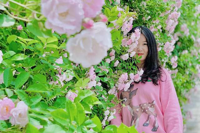 大阳山国家森林公园植物园景区