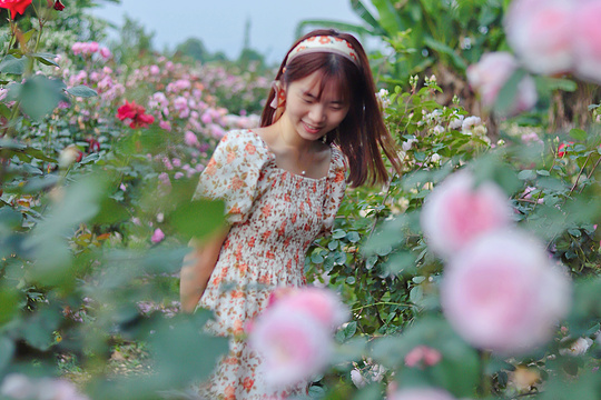 都江堰·玫瑰花溪谷旅游景点图片